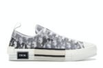 Dior B23 Low Top Logo Oblique