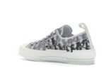 Dior B23 Low Top Logo Oblique