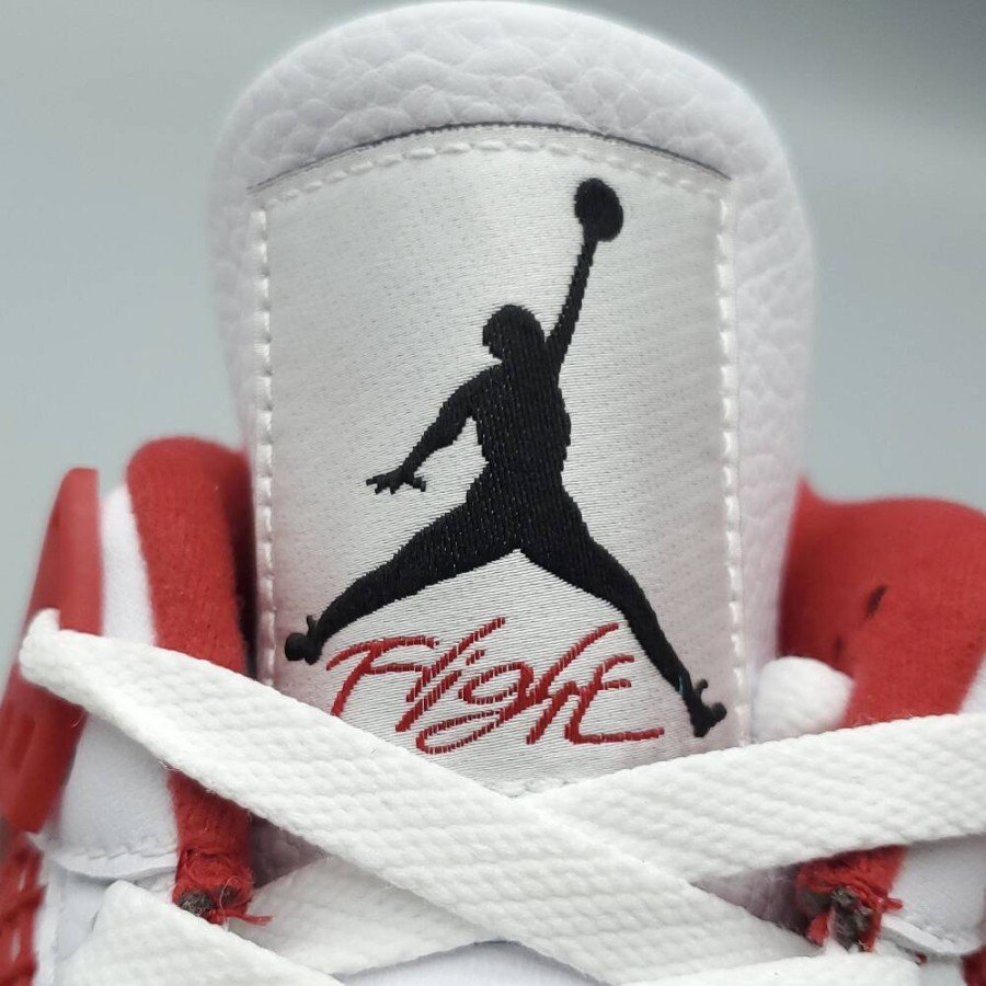 Jordan 4 Retro Alternate