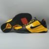 Nike Kobe 5 Protro Bruce Lee