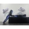 Air Jordan 5 Retro 'Concord'